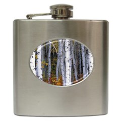 White Birch Trees Autumn Hip Flask (6 Oz) by Perong