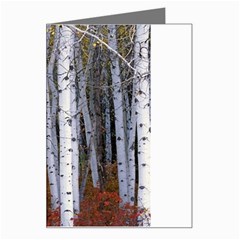 White Birch Trees Autumn Greeting Card by Perong