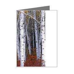 White Birch Trees Autumn Mini Greeting Card by Perong