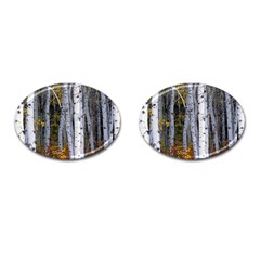 White Birch Trees Autumn Cufflinks (oval) by Perong