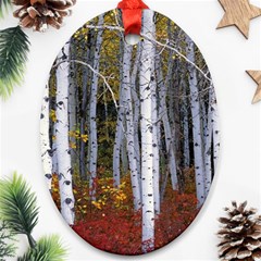 White Birch Trees Autumn Oval Ornament (two Sides)