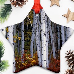 White Birch Trees Autumn Star Ornament (two Sides)