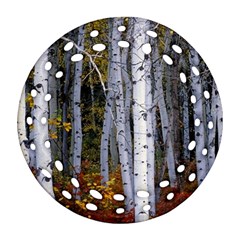 White Birch Trees Autumn Ornament (round Filigree)