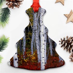 White Birch Trees Autumn Christmas Tree Ornament (two Sides)