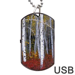 White Birch Trees Autumn Dog Tag Usb Flash (one Side) by Perong