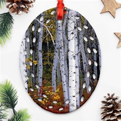 White Birch Trees Autumn Oval Filigree Ornament (two Sides)