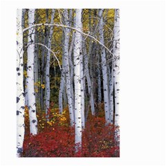 White Birch Trees Autumn Small Garden Flag (two Sides)