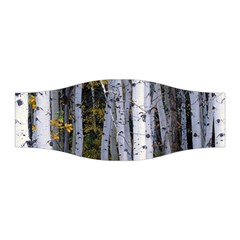 White Birch Trees Autumn Stretchable Headband by Perong