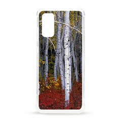 White Birch Trees Autumn Samsung Galaxy S20 6 2 Inch Tpu Uv Case by Perong