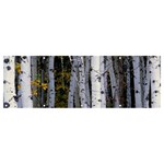 White Birch Trees Autumn Banner and Sign 12  x 4  Front