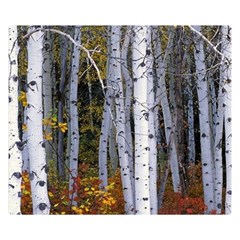 White Birch Trees Autumn Premium Plush Fleece Blanket (small) by Perong