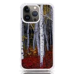 White Birch Trees Autumn Iphone 13 Pro Tpu Uv Print Case by Perong