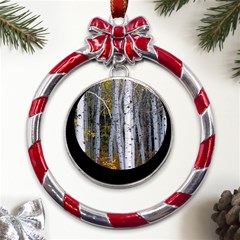 White Birch Trees Autumn Metal Red Ribbon Round Ornament by Perong