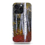 White Birch Trees Autumn iPhone 15 Pro TPU UV Print Case Front