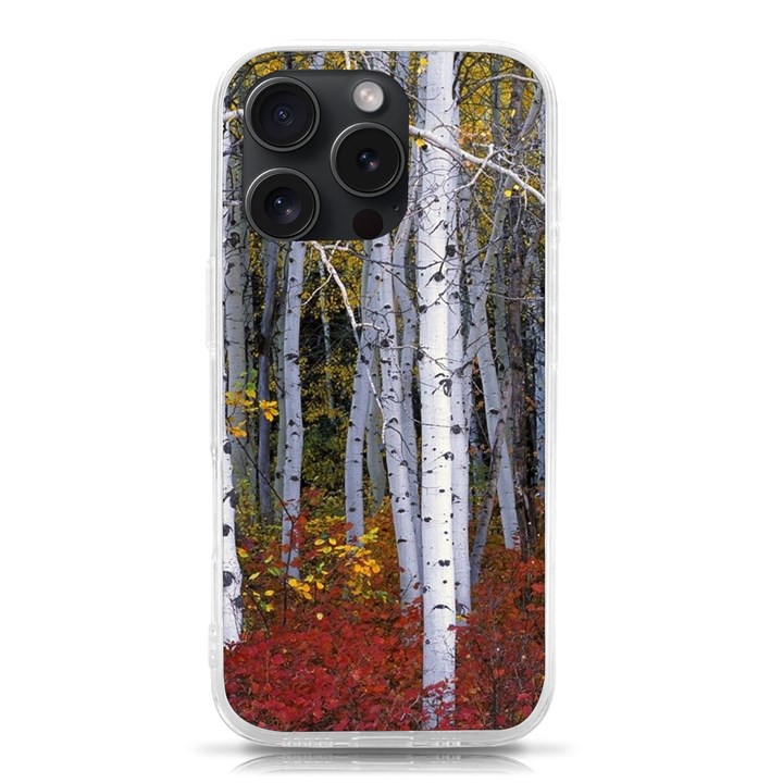 White Birch Trees Autumn iPhone 15 Pro TPU UV Print Case