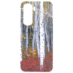 White Birch Trees Autumn Samsung Galaxy S24 Plus 6 7 Inch Black Tpu Uv Case by Perong