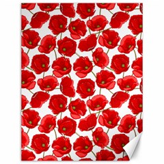 Flower Poppies Plant Petal Canvas 12  X 16  by Perong