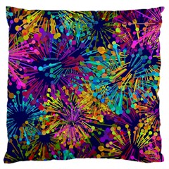 Illustration Graphics Art Large Cushion Case (two Sides) by anzea