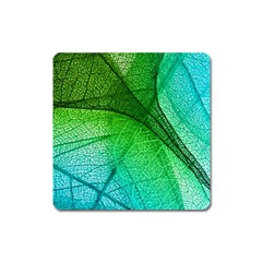 3d Leaves Texture Sheet Blue Green Square Magnet by Cemarart