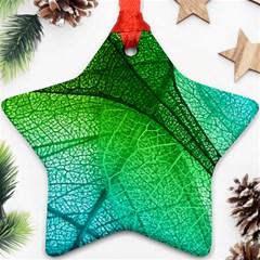 3d Leaves Texture Sheet Blue Green Star Ornament (two Sides)