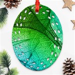 3d Leaves Texture Sheet Blue Green Ornament (Oval Filigree) Front