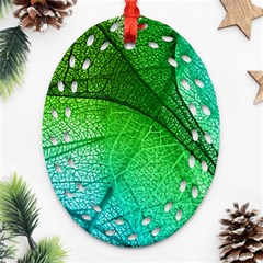 3d Leaves Texture Sheet Blue Green Oval Filigree Ornament (two Sides)