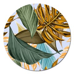 Monstera Palm Leaves Plants Magnet 5  (round) by Paksenen