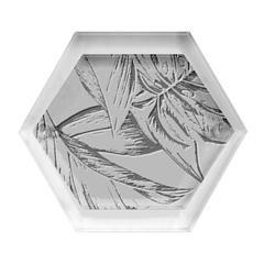 Monstera Palm Leaves Plants Hexagon Wood Jewelry Box