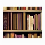 Books Bookshelves Office Fantasy Background Artwork Book Cover Apothecary Book Nook Literature Libra Small Glasses Cloth (2 Sides) Back