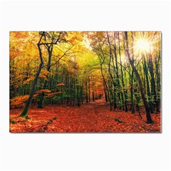 Forest Woods Autumn Nature Postcard 4 x 6  (pkg Of 10) by Proyonanggan