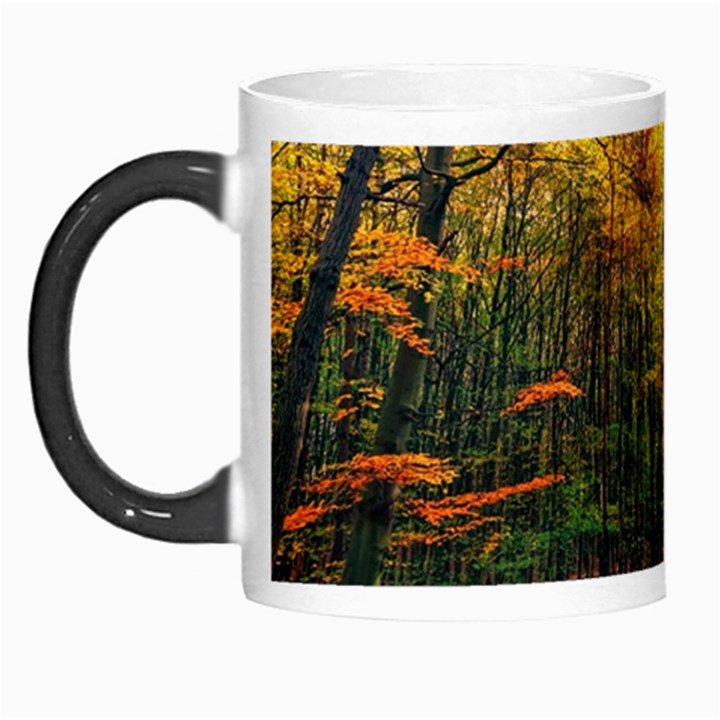 Forest Woods Autumn Nature Morph Mug