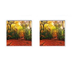 Forest Woods Autumn Nature Cufflinks (square)