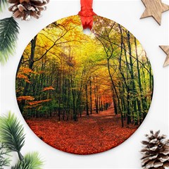 Forest Woods Autumn Nature Round Ornament (two Sides)