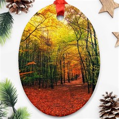 Forest Woods Autumn Nature Oval Ornament (two Sides)