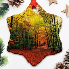 Forest Woods Autumn Nature Snowflake Ornament (two Sides)