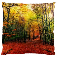 Forest Woods Autumn Nature Large Cushion Case (two Sides) by Proyonanggan