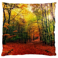 Forest Woods Autumn Nature Standard Premium Plush Fleece Cushion Case (two Sides) by Proyonanggan