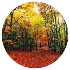 Forest Woods Autumn Nature Round Trivet by Proyonanggan