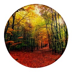 Forest Woods Autumn Nature Round Glass Fridge Magnet (4 Pack) by Proyonanggan