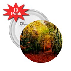 Forest Woods Autumn Nature 2 25  Buttons (10 Pack)  by Proyonanggan