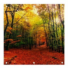 Forest Woods Autumn Nature Banner And Sign 4  X 4  by Proyonanggan