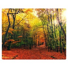 Forest Woods Autumn Nature Premium Plush Fleece Blanket (medium) by Proyonanggan