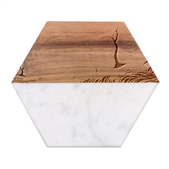 Trees Forest Path Marble Wood Coaster (hexagon)  by Proyonanggan