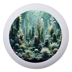 Underwater Coral Life Dento Box With Mirror