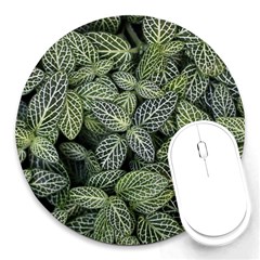 Leaves Foliage Botany Plant Round Mousepad