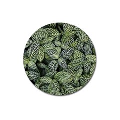 Leaves Foliage Botany Plant Magnet 3  (round) by Maspions