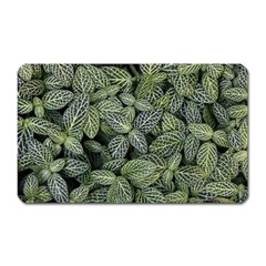 Leaves Foliage Botany Plant Magnet (rectangular)