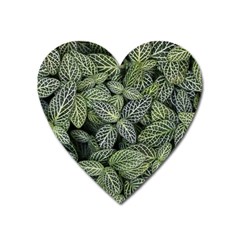 Leaves Foliage Botany Plant Heart Magnet