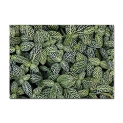 Leaves Foliage Botany Plant Sticker A4 (100 Pack)