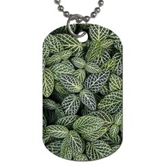 Leaves Foliage Botany Plant Dog Tag (two Sides)